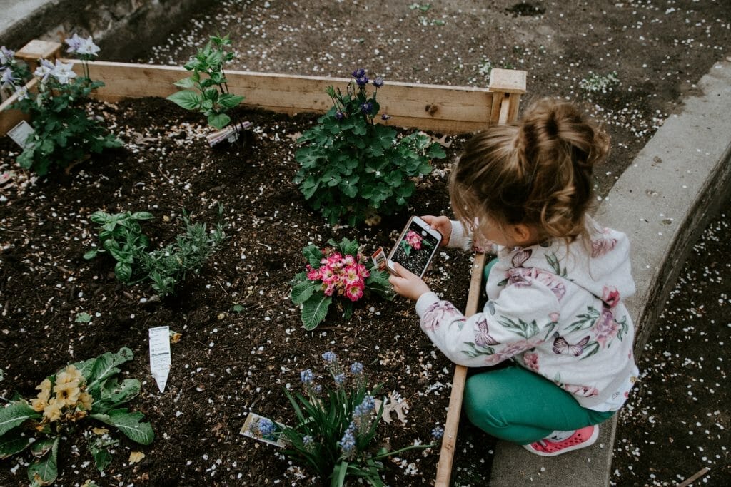 Gardening-at-home