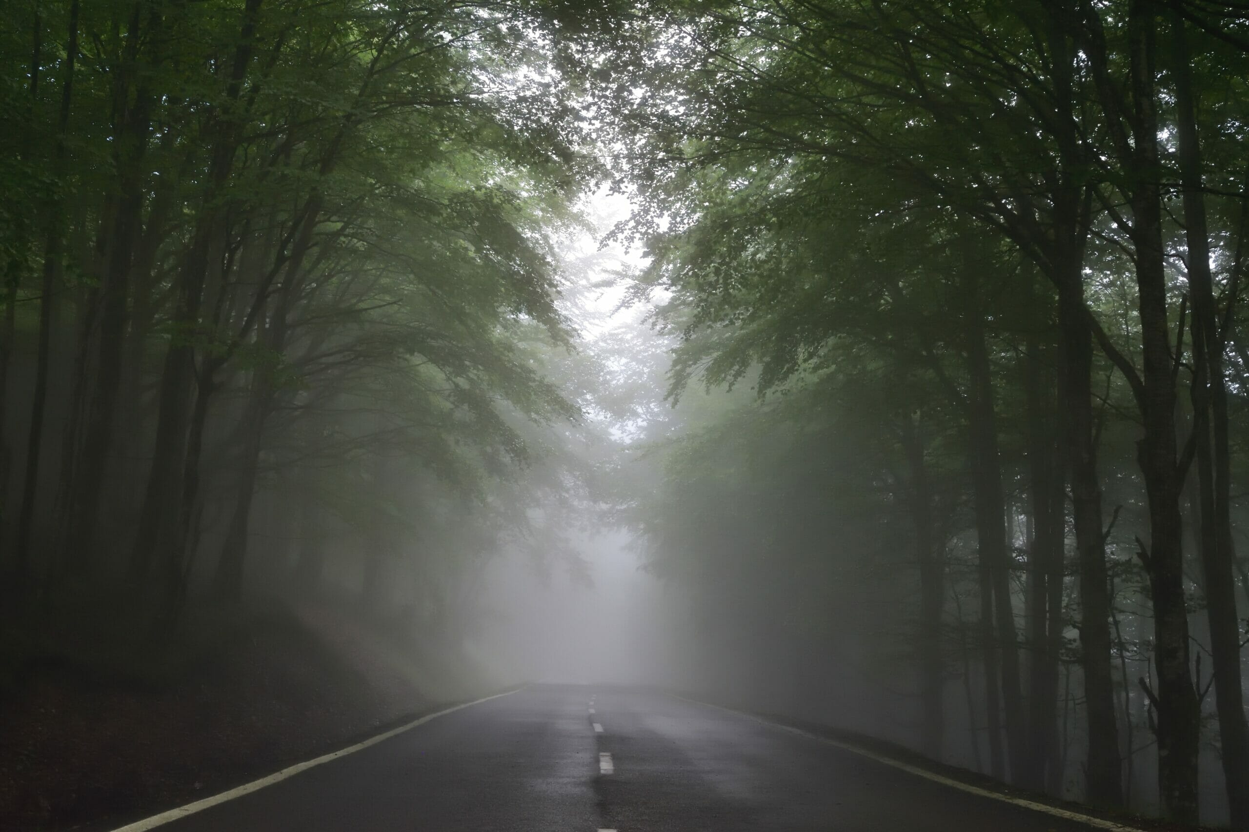 29 Fear of the Unknown Quotes (So Inspiring) via @allamericanatlas