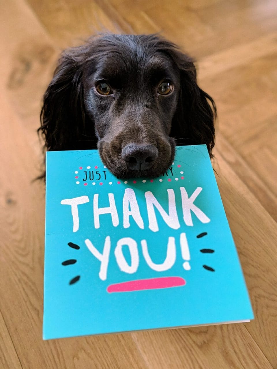 (Exactly) How to Respond to Thank You: 17 Ways for Any Situation ...