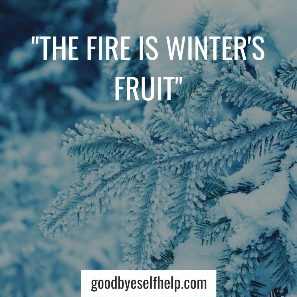 Winter Inspiring Quotes