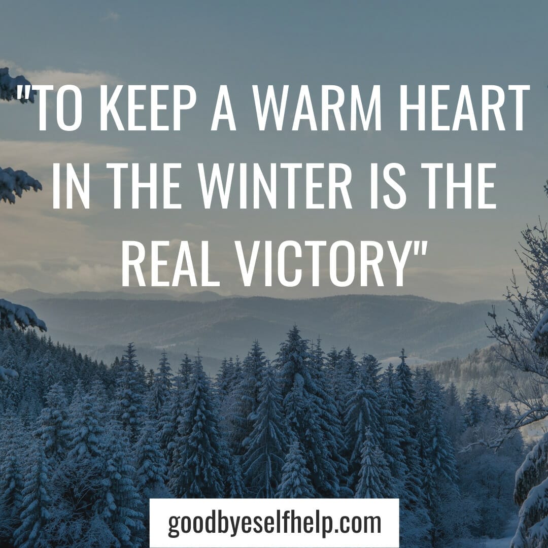 31+ Winter Inspirational Quotes to Motivate You - Goodbye Self Help