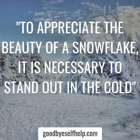 31+ Winter Inspirational Quotes to Motivate You - Goodbye Self Help