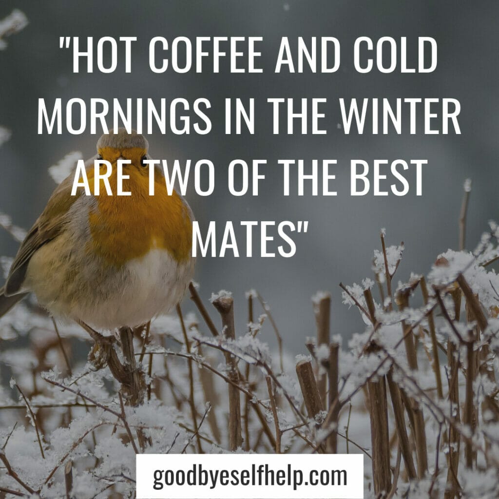 Winter Inspiring Quotes