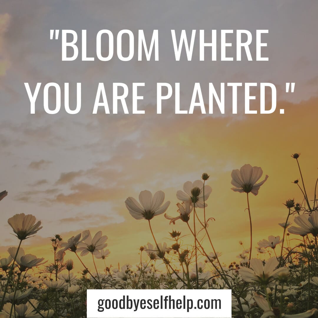 101 Adorable Flower Instagram Captions for the Perfect Post Goodbye