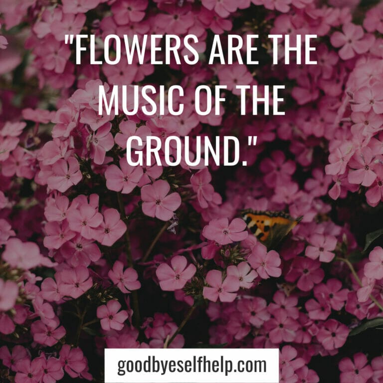 101 Adorable Flower Instagram Captions for the Perfect Post Goodbye