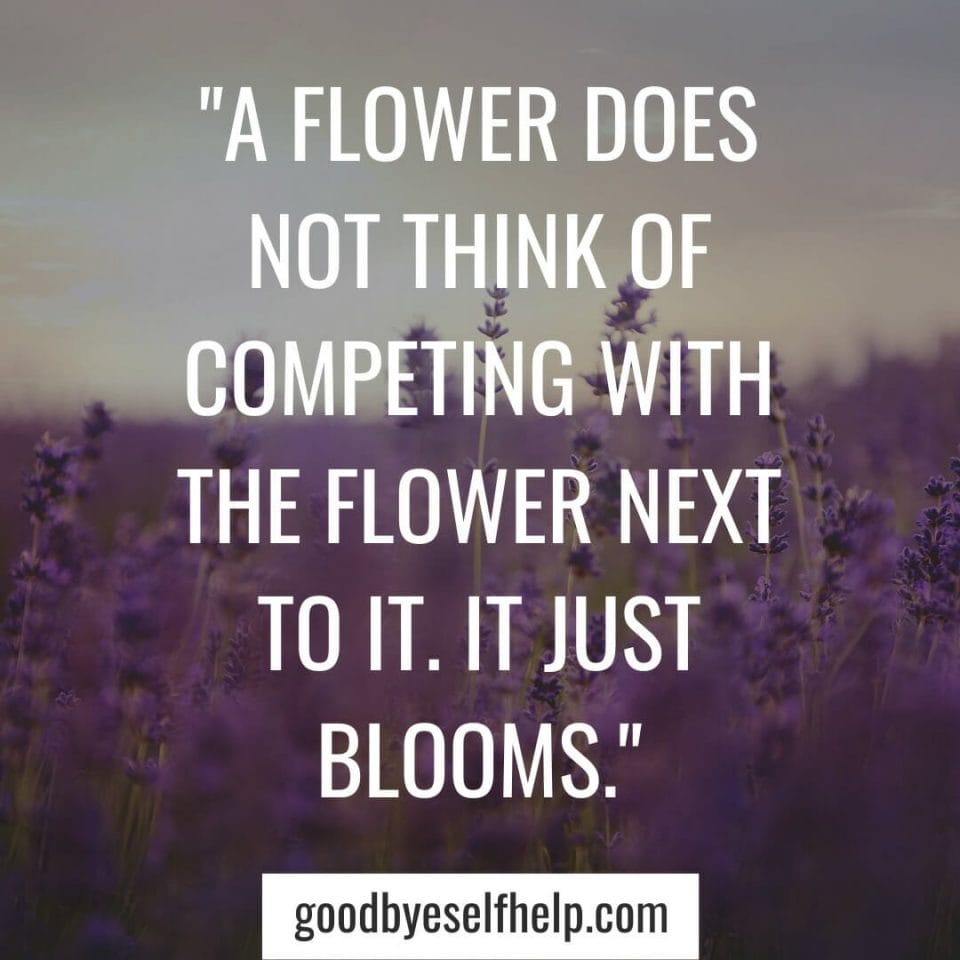 101 Adorable Flower Instagram Captions for the Perfect Post Goodbye