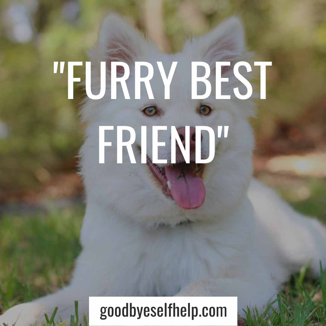 101 Adorable Dog Instagram Captions for the Perfect Post Goodbye Self