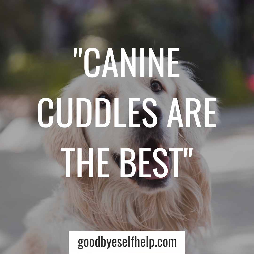 101 Adorable Dog Instagram Captions for the Perfect Post Goodbye Self