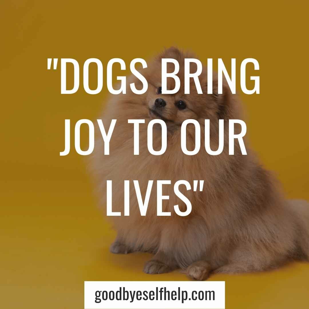 101 Adorable Dog Instagram Captions for the Perfect Post Goodbye Self