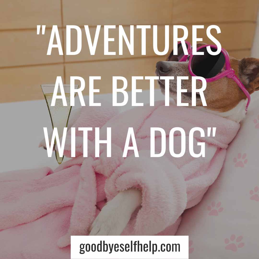 101 Adorable Dog Instagram Captions for the Perfect Post Goodbye Self