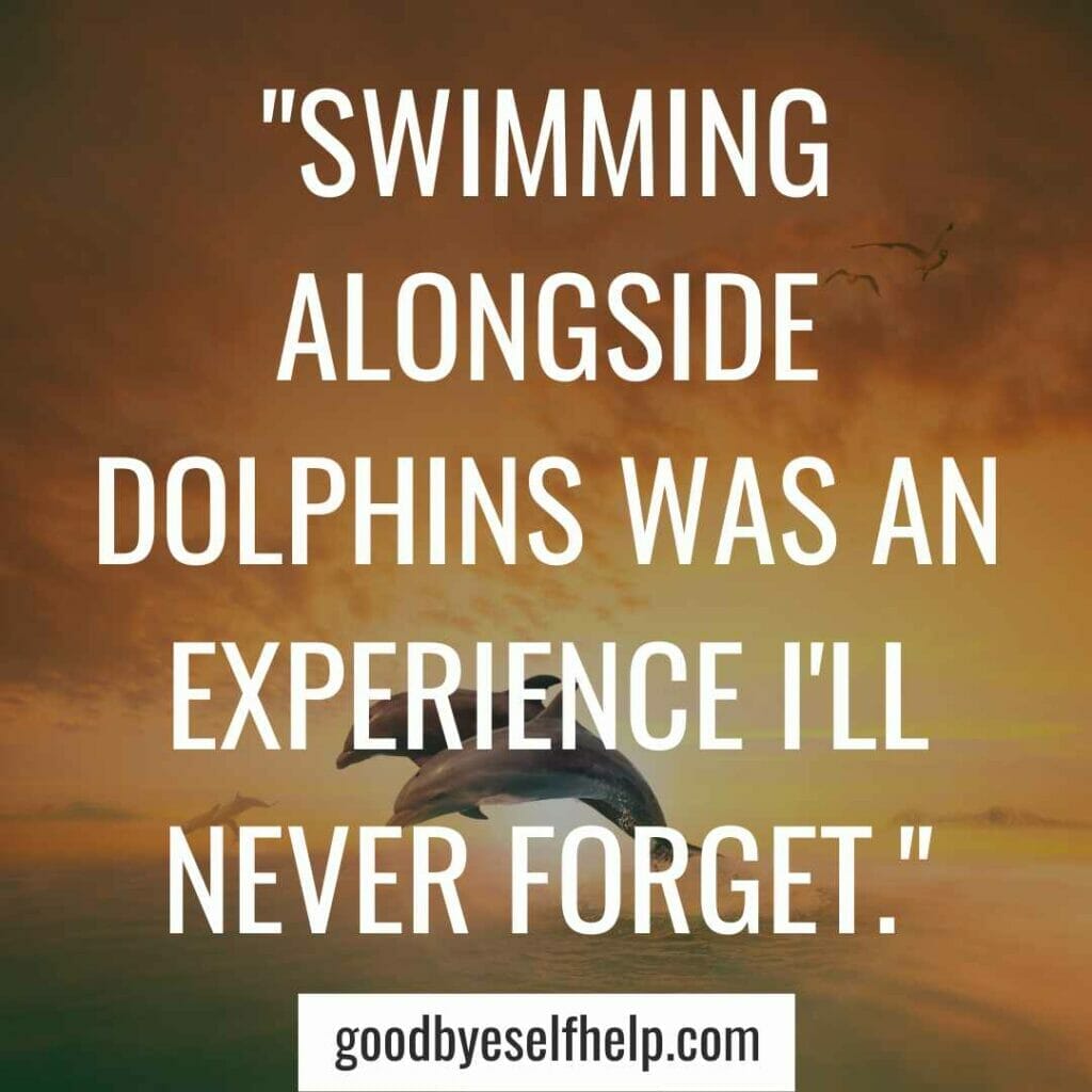Dolphin instagram captions
