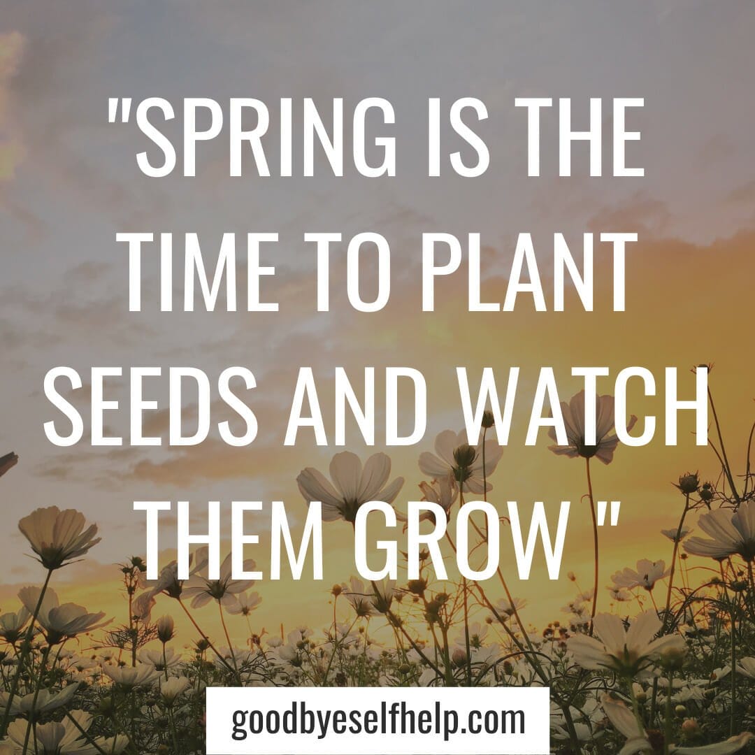 101 Unique Spring Instagram Captions for the Perfect Post Goodbye