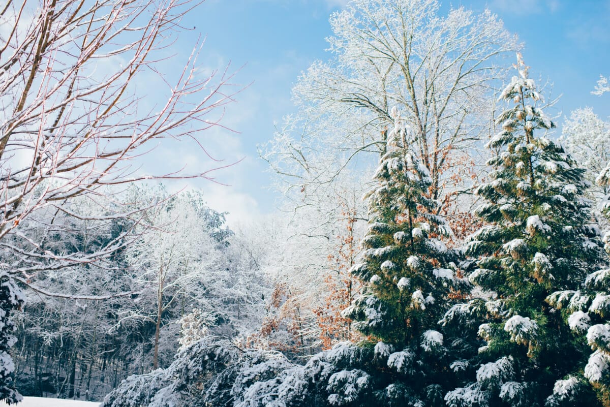 101 Unique Winter Instagram Captions for the Perfect Post via @allamericanatlas